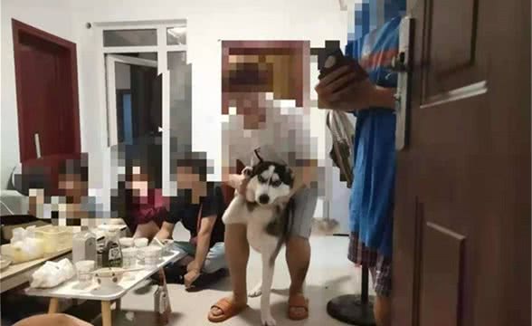 狗叫声影响休息居民报警求助