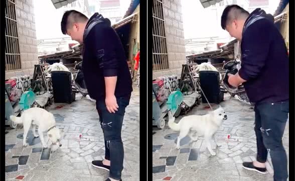 网友可以摸狗头，但在喂了火腿肠后它却翻脸不认人了，狗：走开