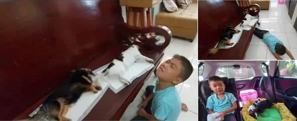 孩子发现狗狗死去后嚎啕大哭，父母却在一旁笑出声