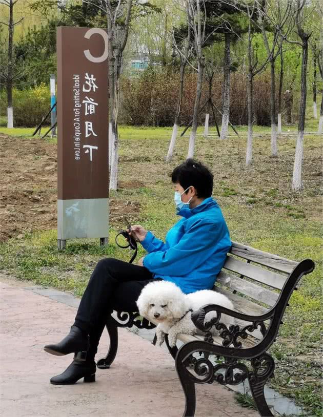 宠物，感情的寄托