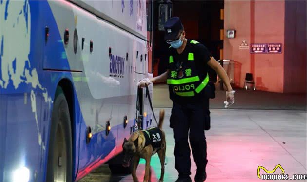 犬亦有情鹰击长空