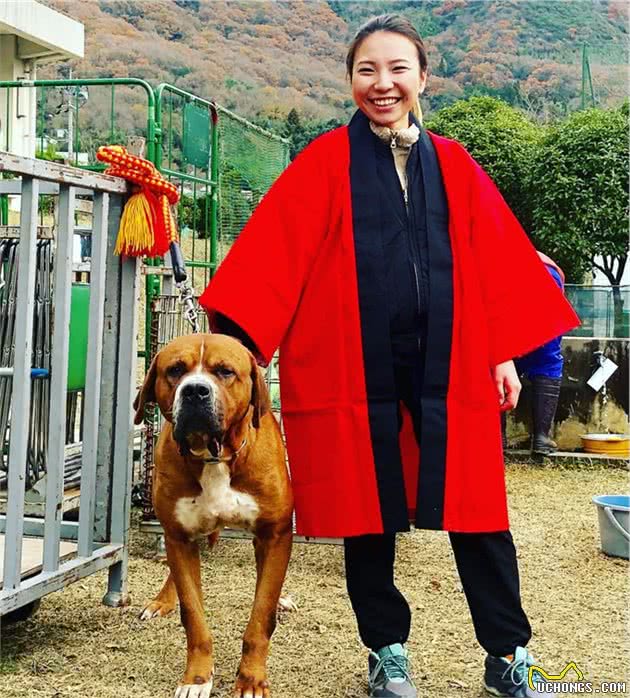 猛犬中的“4大暴君”，一个亚洲刽子手，另外一个是欧洲嗜血兽