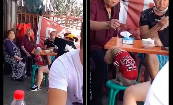 网友和朋友出去玩，却发现自己和一只狗狗撞衫了，也太尴尬了吧