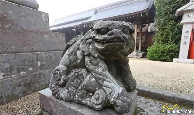 神社趣谈ll日本的石狮子为啥被叫做狛犬？