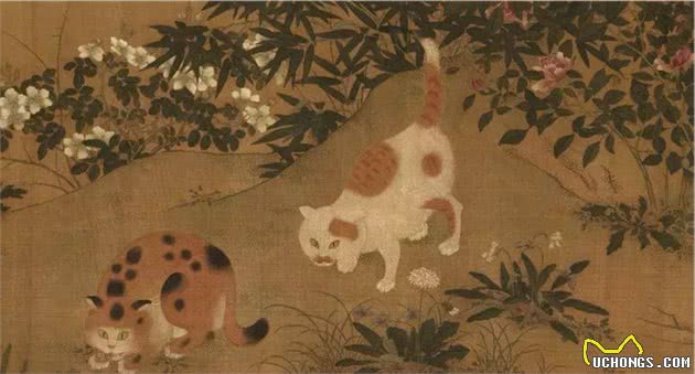 明朝最荒唐的皇帝，封猫做官，为猫打造金棺材，还曾想带猫上天