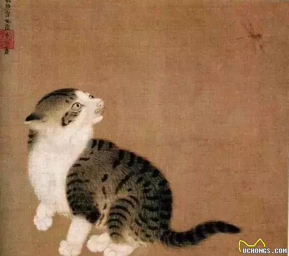 明朝最荒唐的皇帝，封猫做官，为猫打造金棺材，还曾想带猫上天
