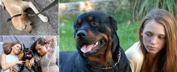 如果狗狗有这5种行为，说明它特别“忠诚”，你家狗子中了几种？