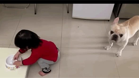 小女儿用狗碗洗脸，狗在一旁都看懵了：她在干什么？水还能喝吗？