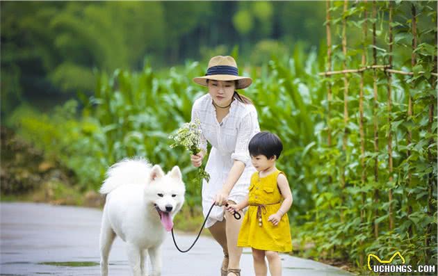 夏天狗狗怕热怎么办？