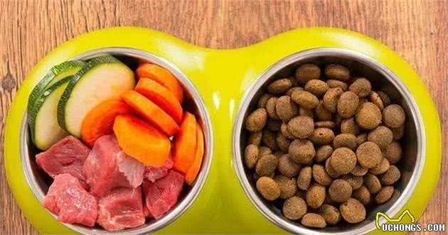 狗狗突然狂吃草怎么回事？不用怕，原因在这里，应对方法也简单
