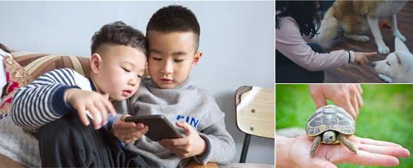 5到10岁的小朋友养什么样的宠物比较好?