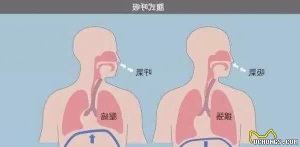 真相预警！跑步的时候喘成狗是怎么回事？