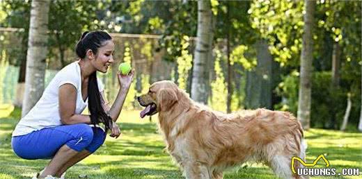 大型犬更惹女孩子喜欢，不外乎是这几个原因