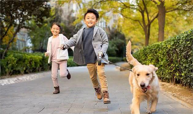 无攻击性的6种狗，家里有小孩，也能放心养