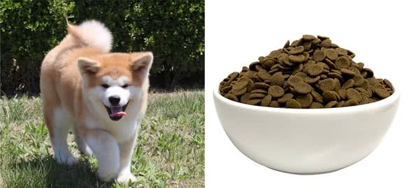 秋田犬吃什么狗粮最好？