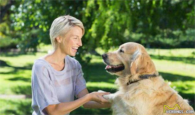 注意了！金毛犬“舔人”不全是因为喜欢宠主，还有这6个意思