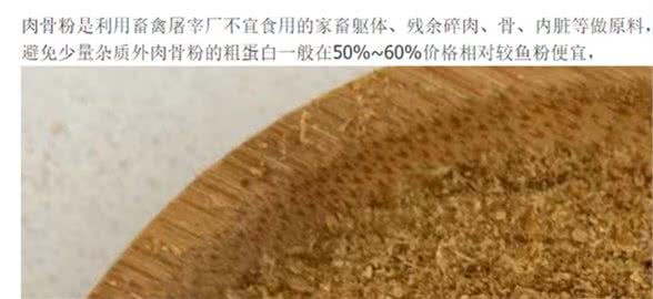 肉价那么贵，为什么高含肉量猫狗粮那么便宜？因为你被骗了啊