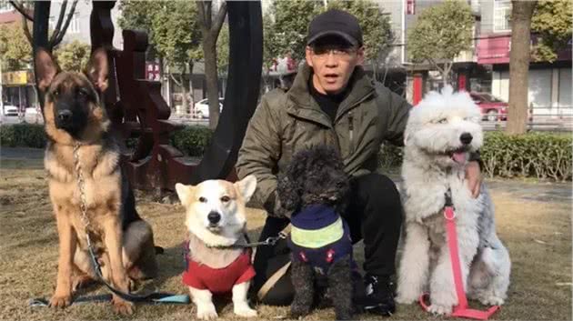 靖江有个训犬师，15min让狗乖乖听话