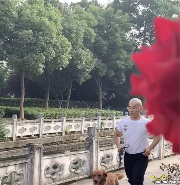 靖江有个训犬师，15min让狗乖乖听话