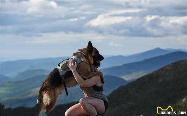 满满的威慑力，就能保护女主人的狗—德国牧羊犬！