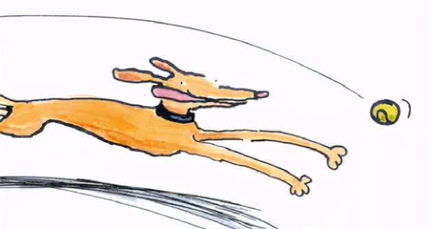 犬主人必看:五一新规,小心违法