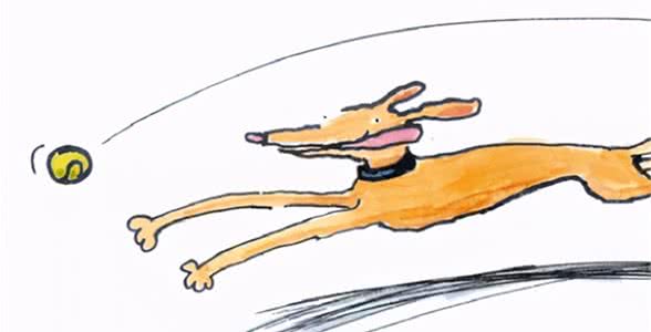犬主人必看：五一新规，小心违法