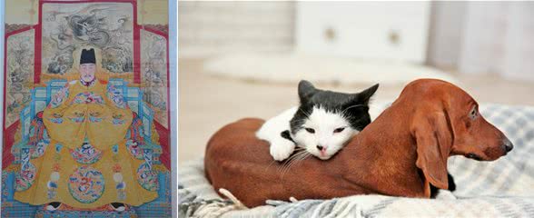 还有“男不养猫，女不养狗”的观念？讲道理，不存在的