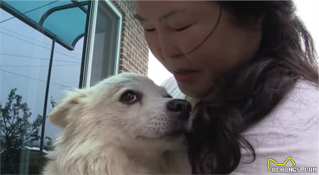 狗狗总爱“偷”鞋子，邻居家也丢了鞋，主人阻止它的办法真是有趣