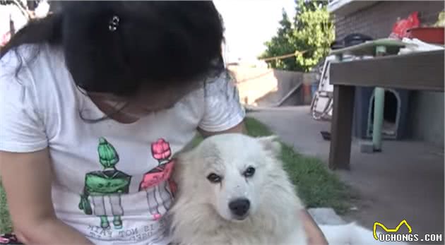 狗狗总爱“偷”鞋子，邻居家也丢了鞋，主人阻止它的办法真是有趣