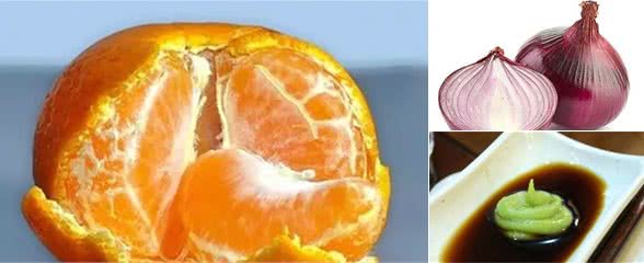 家里常见的5种食材，对狗狗价值高，居然能治病！