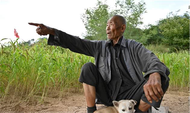 山东82岁老人，独居深山养老，野菜地瓜当主食，养2条小狗作伴