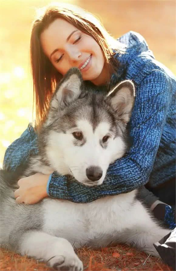 俄罗斯名犬西伯利亚雪橇犬，与众不同哈士奇