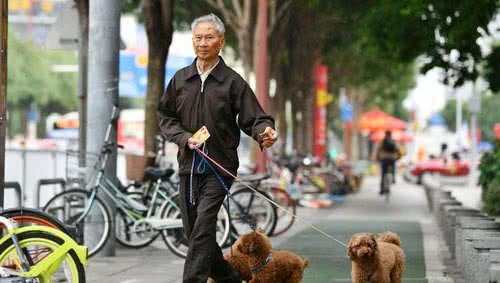 从遛狗时间，就能看出你养什么狗！你一般几点遛狗呢？