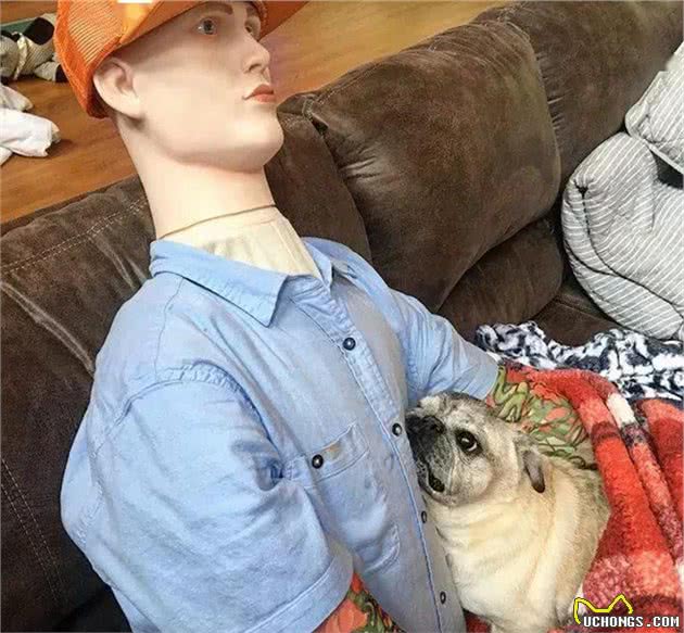 狗狗独自在家抑郁啦？不怕！不按套路出牌也许