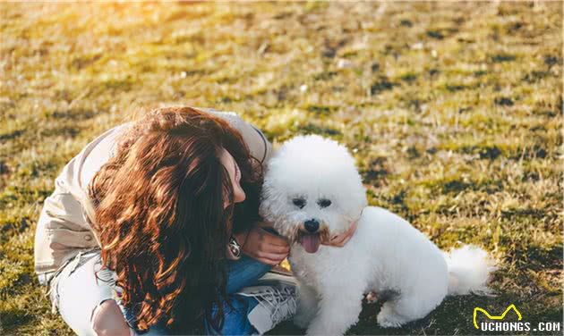 原来你摸“比熊犬”的爪子，意味着这些