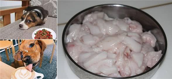 天天给狗子吃这五种“食物”，小心疾病找上门