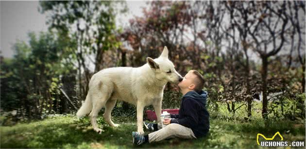 主人不在的时候，狗狗就变得神经质？小萌教你处理分离焦虑