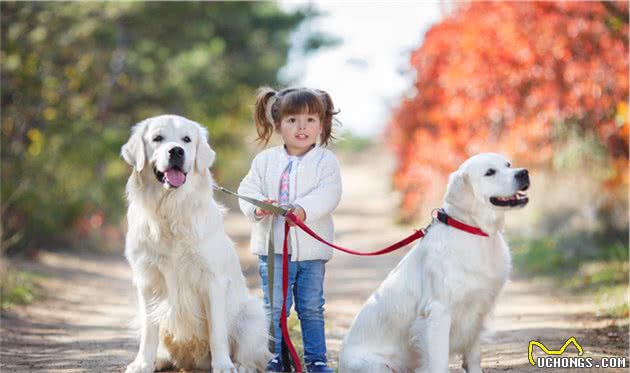 若狗狗有这几种症状,说明身上全是寄生虫,再不驱虫后果很严重