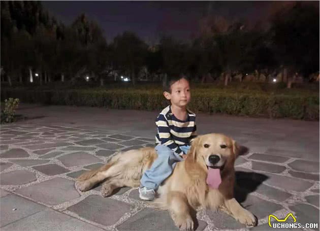 一只捡来的狗狗,它给我的快乐和安全,让我感到惊讶
