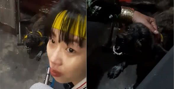 主人过世，狗狗在灵堂前失声大哭，全身抽搐引无数人心疼