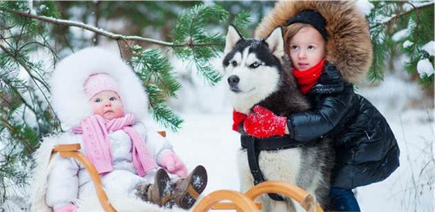 小女生真的不能养大型犬吗？训犬师叹了一口气：好多都搞不定