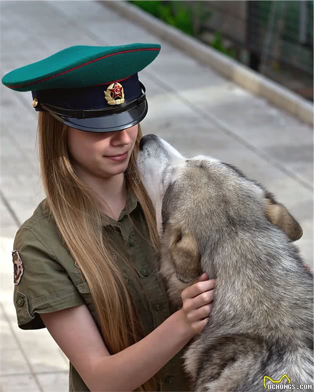 小女生真的不能养大型犬吗？训犬师叹了一口气：好多都搞不定