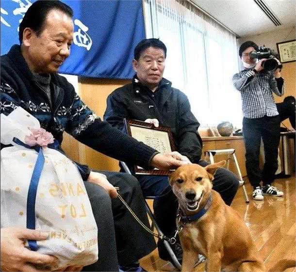 狗子捉贼有功，警局奖励了它一包狗砸，这货领奖时开心坏了