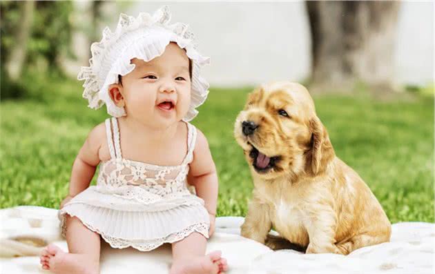 给娃养狗吧，别让孩子“输在”起跑线上
