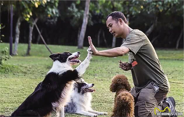 主人每天出门上班，其实在狗狗眼中是这样的