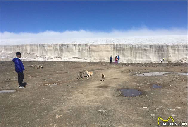 带着狗来场说走就走的旅行（带宠旅行干货分享）