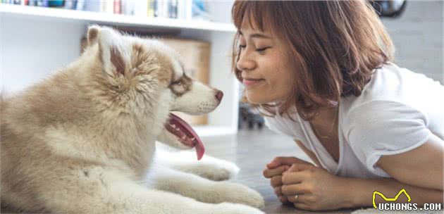 狗狗怕黑并非胆小，只因受幽闭恐惧症影响，调整心态需从三点出发