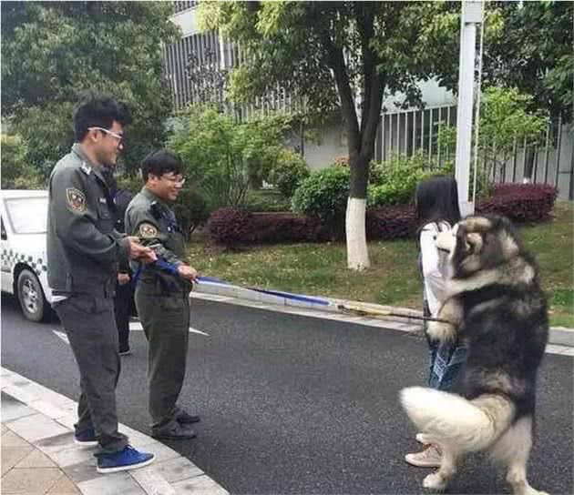 铲屎官路过却突然被陌生狗狗熊抱，警察到场仍不愿松开