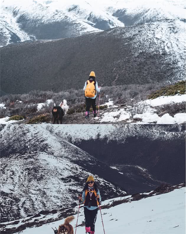 川西自驾?带上狗狗去旅行，ins风自由行，川西冷噶措