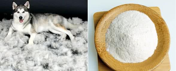 狗掉毛的主要原因